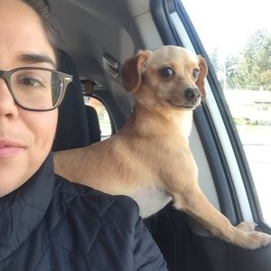 Meet your Posher, Alyssa